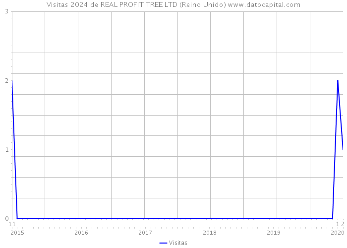 Visitas 2024 de REAL PROFIT TREE LTD (Reino Unido) 