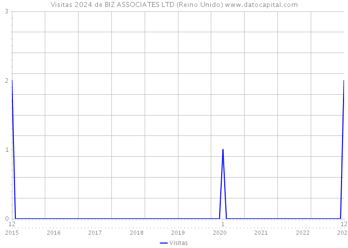 Visitas 2024 de BIZ ASSOCIATES LTD (Reino Unido) 