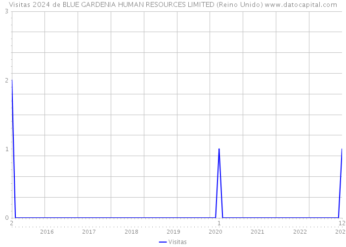 Visitas 2024 de BLUE GARDENIA HUMAN RESOURCES LIMITED (Reino Unido) 