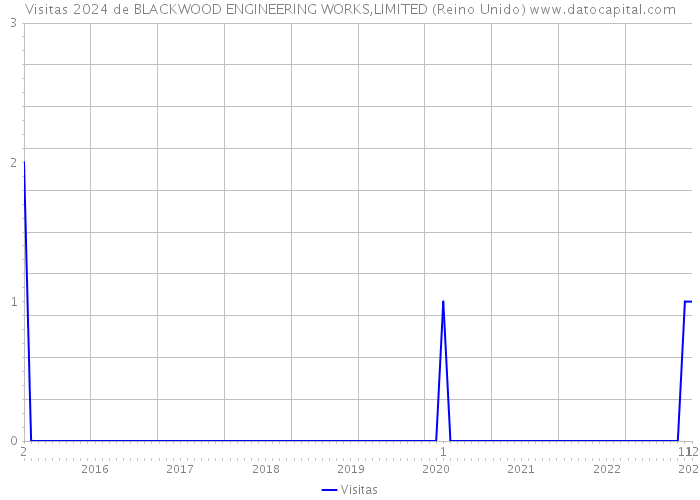 Visitas 2024 de BLACKWOOD ENGINEERING WORKS,LIMITED (Reino Unido) 
