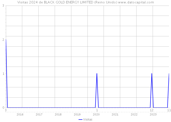 Visitas 2024 de BLACK GOLD ENERGY LIMITED (Reino Unido) 