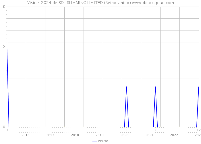 Visitas 2024 de SDL SLIMMING LIMITED (Reino Unido) 