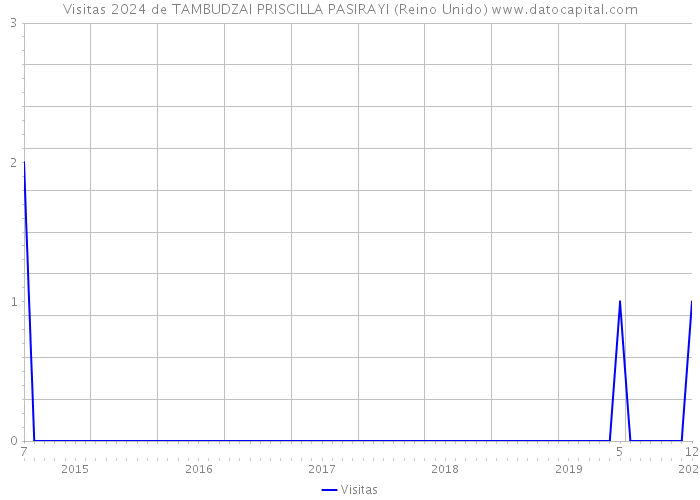 Visitas 2024 de TAMBUDZAI PRISCILLA PASIRAYI (Reino Unido) 