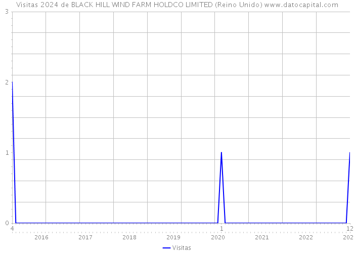 Visitas 2024 de BLACK HILL WIND FARM HOLDCO LIMITED (Reino Unido) 