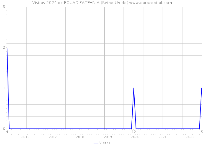 Visitas 2024 de FOUAD FATEHNIA (Reino Unido) 