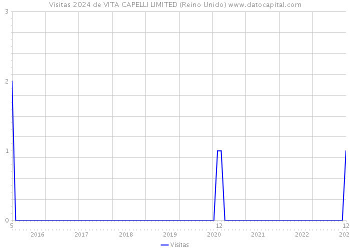 Visitas 2024 de VITA CAPELLI LIMITED (Reino Unido) 