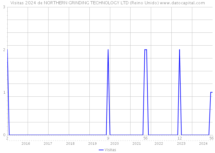 Visitas 2024 de NORTHERN GRINDING TECHNOLOGY LTD (Reino Unido) 