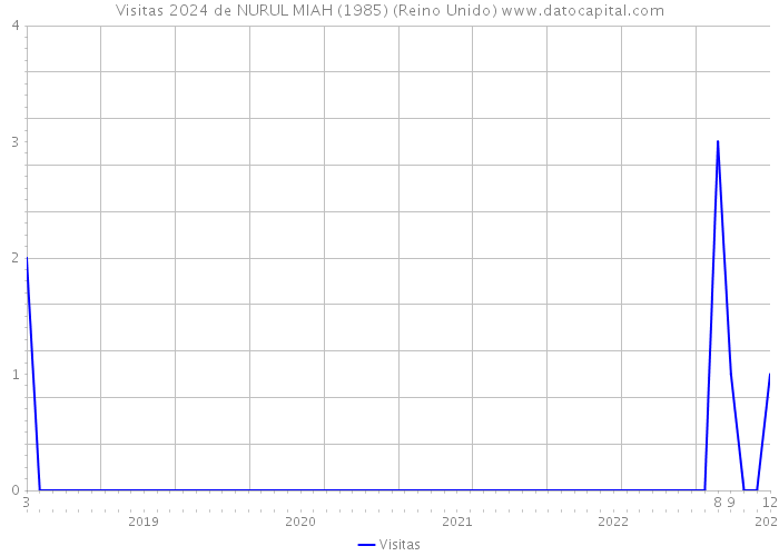 Visitas 2024 de NURUL MIAH (1985) (Reino Unido) 