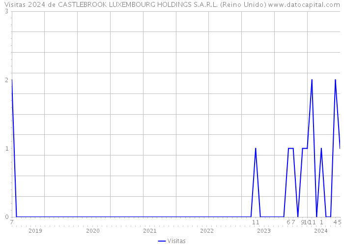 Visitas 2024 de CASTLEBROOK LUXEMBOURG HOLDINGS S.A.R.L. (Reino Unido) 