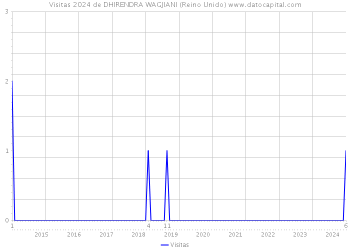 Visitas 2024 de DHIRENDRA WAGJIANI (Reino Unido) 