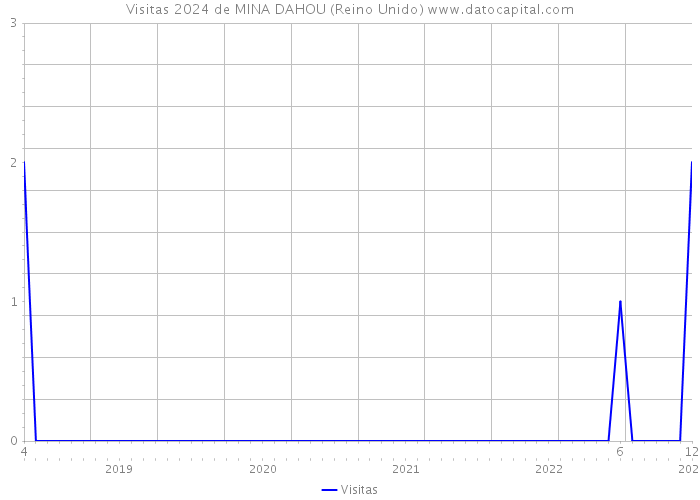 Visitas 2024 de MINA DAHOU (Reino Unido) 