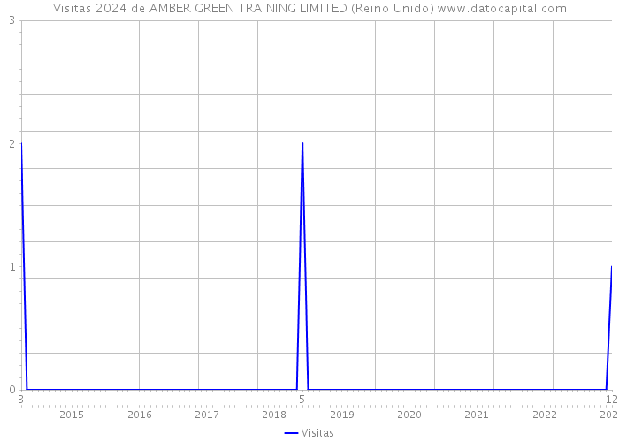 Visitas 2024 de AMBER GREEN TRAINING LIMITED (Reino Unido) 