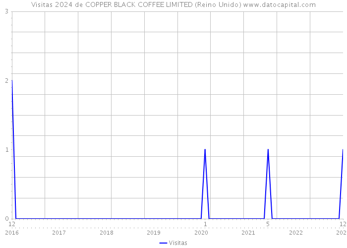 Visitas 2024 de COPPER BLACK COFFEE LIMITED (Reino Unido) 