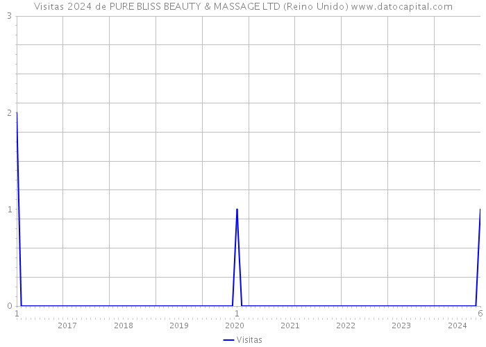 Visitas 2024 de PURE BLISS BEAUTY & MASSAGE LTD (Reino Unido) 