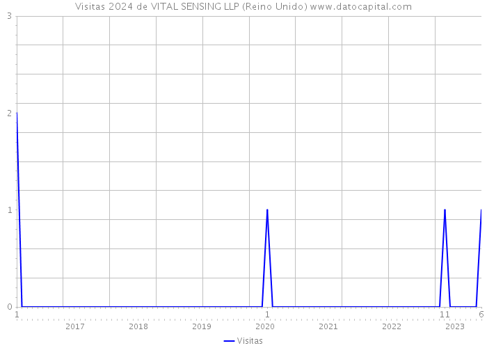 Visitas 2024 de VITAL SENSING LLP (Reino Unido) 