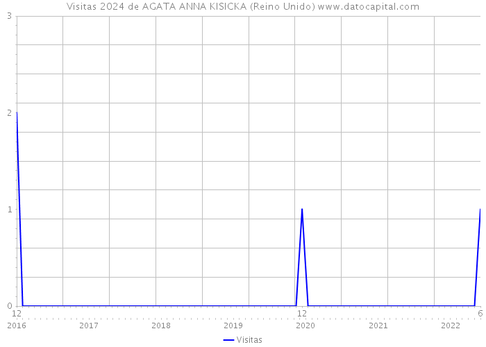 Visitas 2024 de AGATA ANNA KISICKA (Reino Unido) 