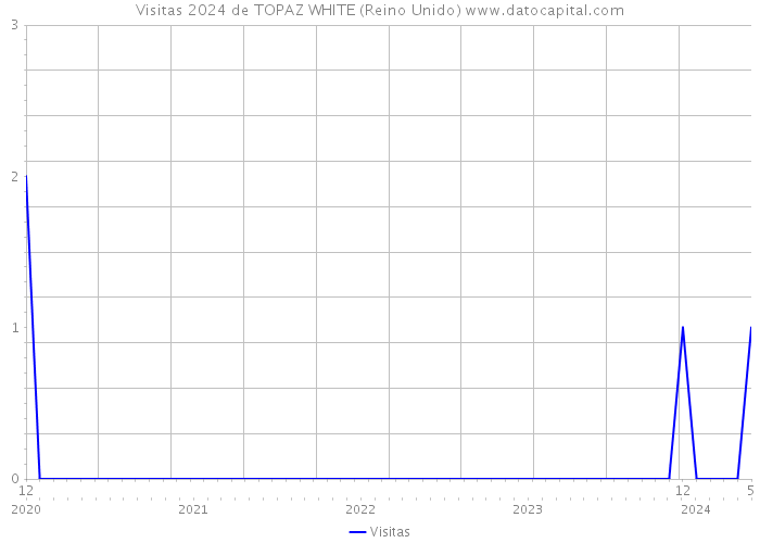 Visitas 2024 de TOPAZ WHITE (Reino Unido) 