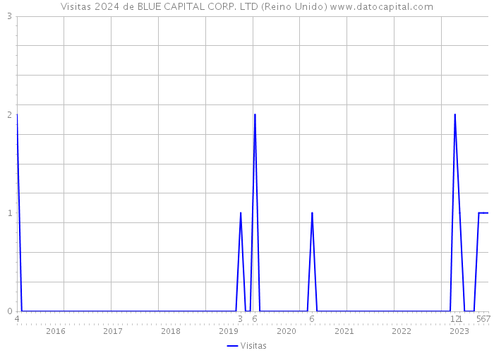 Visitas 2024 de BLUE CAPITAL CORP. LTD (Reino Unido) 