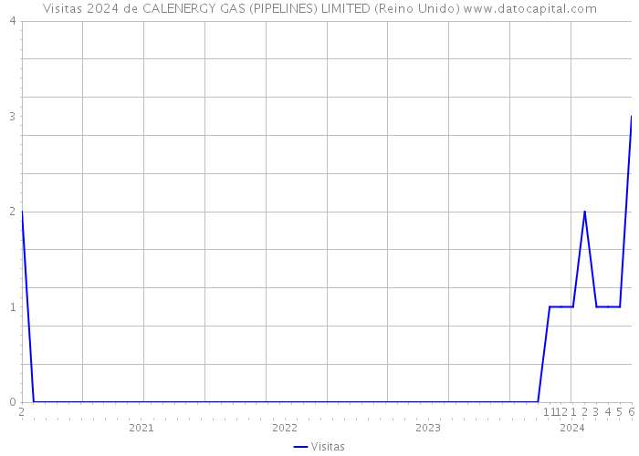 Visitas 2024 de CALENERGY GAS (PIPELINES) LIMITED (Reino Unido) 