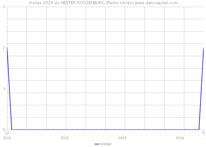 Visitas 2024 de HESTER ROOZENBURG (Reino Unido) 