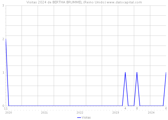 Visitas 2024 de BERTHA BRUMMEL (Reino Unido) 