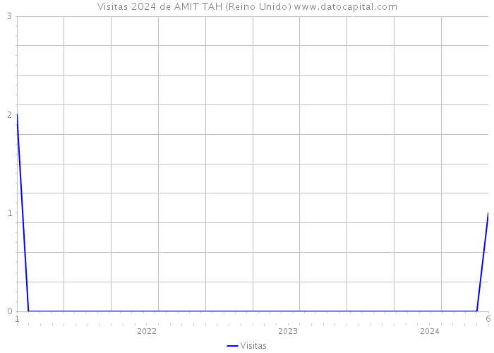 Visitas 2024 de AMIT TAH (Reino Unido) 