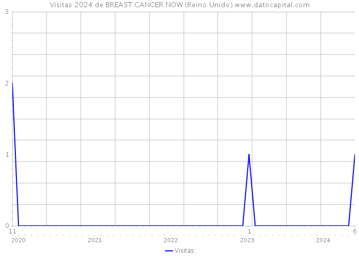 Visitas 2024 de BREAST CANCER NOW (Reino Unido) 