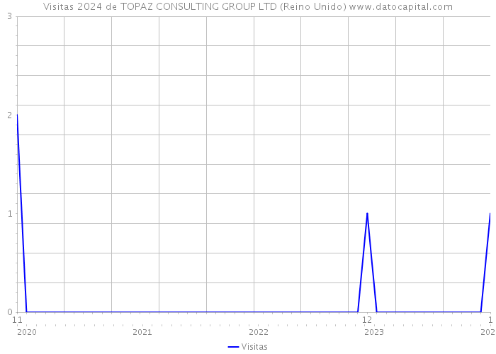 Visitas 2024 de TOPAZ CONSULTING GROUP LTD (Reino Unido) 