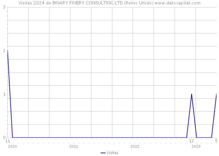 Visitas 2024 de BINARY FINERY CONSULTING LTD (Reino Unido) 