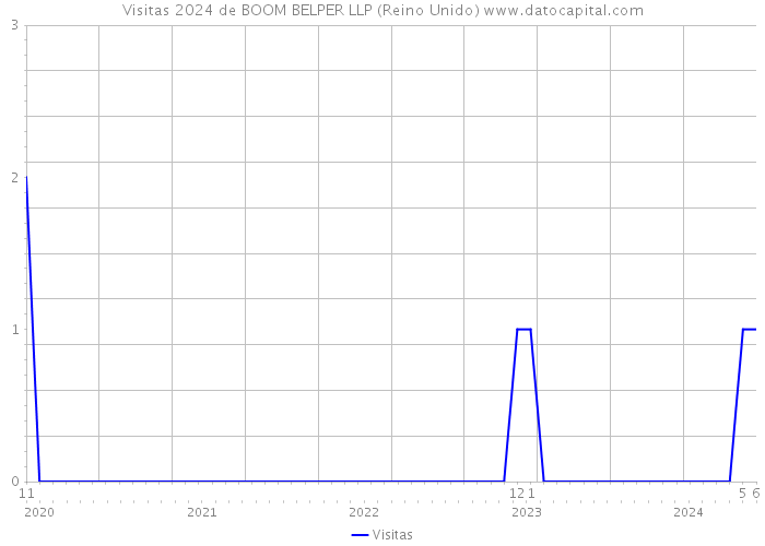 Visitas 2024 de BOOM BELPER LLP (Reino Unido) 