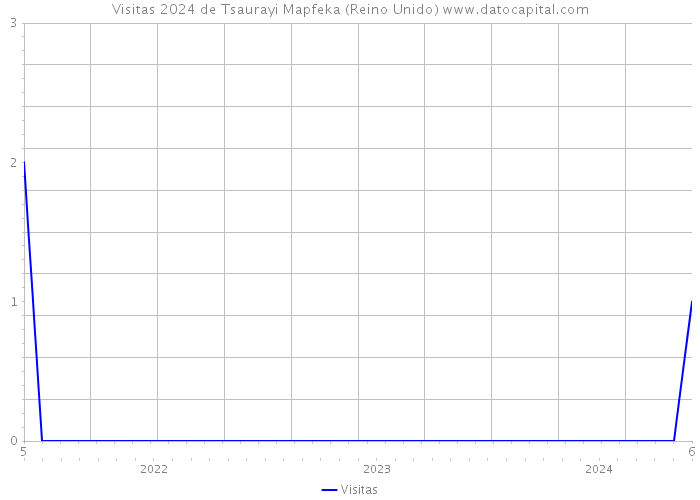 Visitas 2024 de Tsaurayi Mapfeka (Reino Unido) 