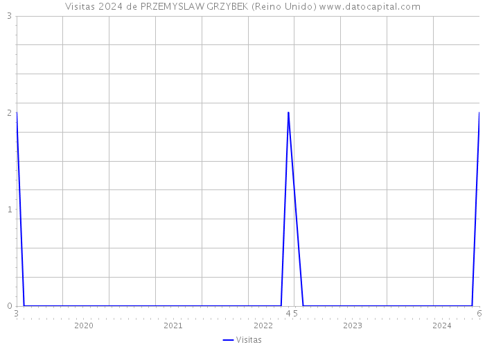 Visitas 2024 de PRZEMYSLAW GRZYBEK (Reino Unido) 