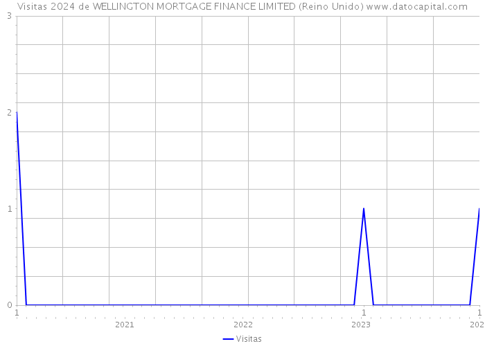 Visitas 2024 de WELLINGTON MORTGAGE FINANCE LIMITED (Reino Unido) 
