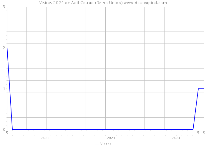 Visitas 2024 de Adil Gatrad (Reino Unido) 