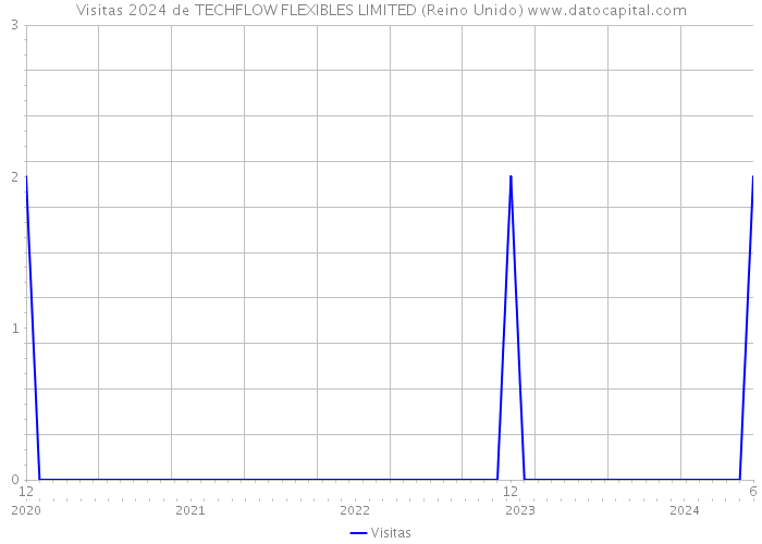 Visitas 2024 de TECHFLOW FLEXIBLES LIMITED (Reino Unido) 