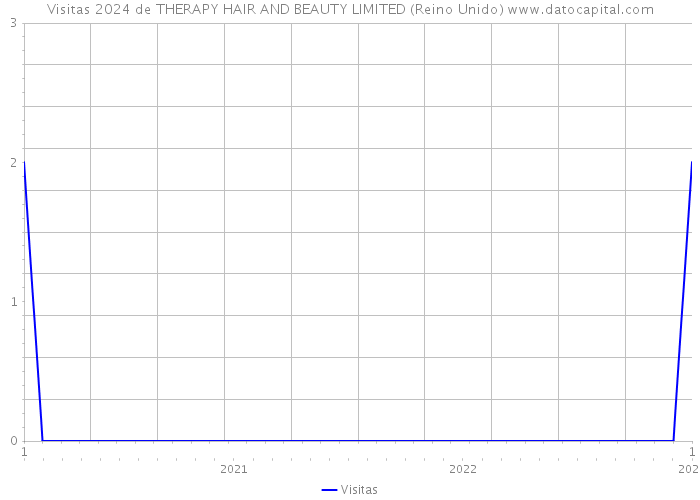 Visitas 2024 de THERAPY HAIR AND BEAUTY LIMITED (Reino Unido) 