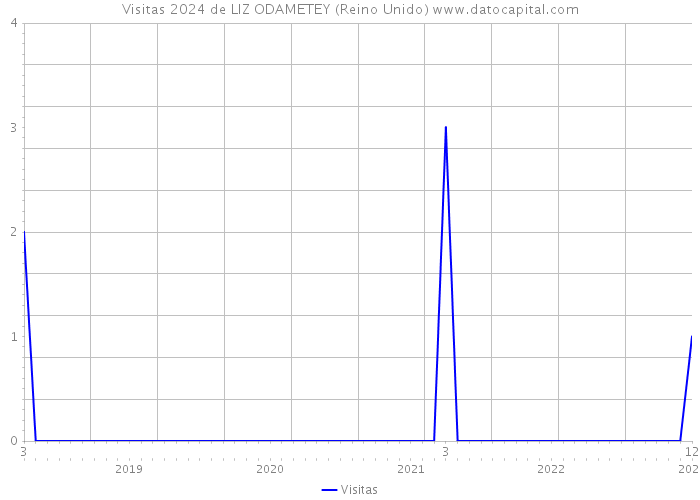 Visitas 2024 de LIZ ODAMETEY (Reino Unido) 