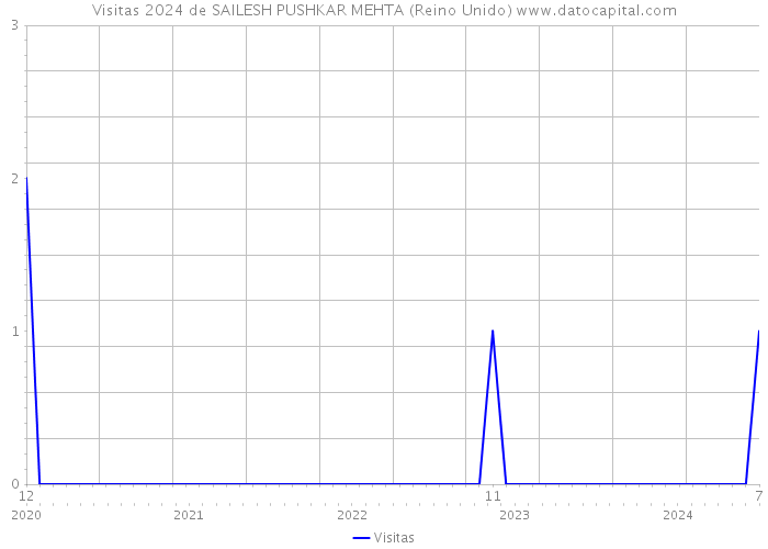 Visitas 2024 de SAILESH PUSHKAR MEHTA (Reino Unido) 