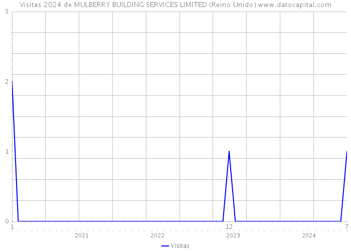 Visitas 2024 de MULBERRY BUILDING SERVICES LIMITED (Reino Unido) 