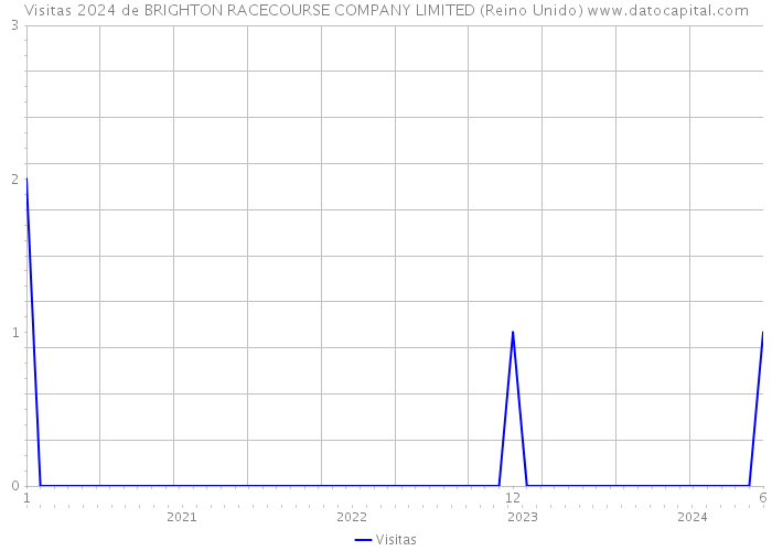 Visitas 2024 de BRIGHTON RACECOURSE COMPANY LIMITED (Reino Unido) 