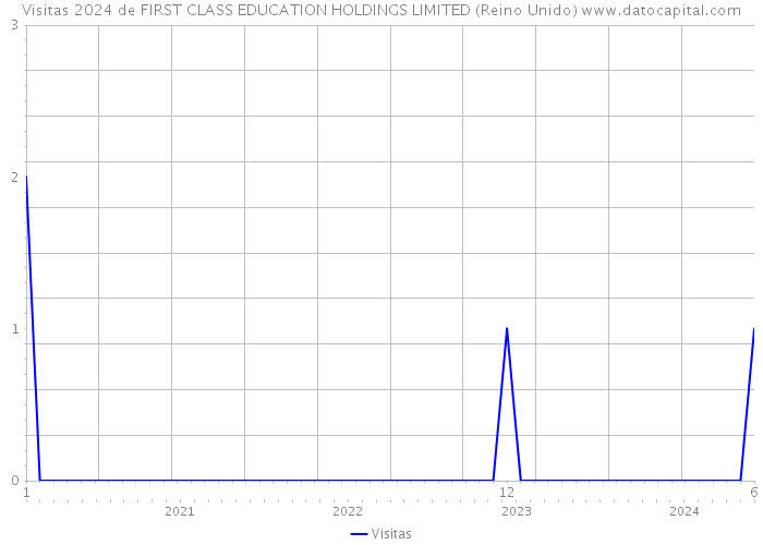 Visitas 2024 de FIRST CLASS EDUCATION HOLDINGS LIMITED (Reino Unido) 