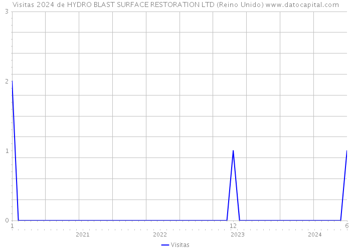 Visitas 2024 de HYDRO BLAST SURFACE RESTORATION LTD (Reino Unido) 