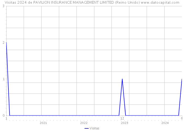 Visitas 2024 de PAVILION INSURANCE MANAGEMENT LIMITED (Reino Unido) 