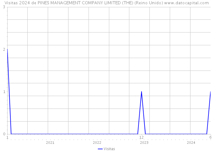 Visitas 2024 de PINES MANAGEMENT COMPANY LIMITED (THE) (Reino Unido) 