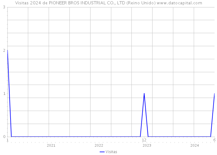 Visitas 2024 de PIONEER BROS INDUSTRIAL CO., LTD (Reino Unido) 