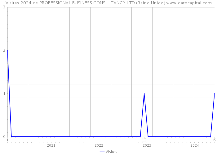 Visitas 2024 de PROFESSIONAL BUSINESS CONSULTANCY LTD (Reino Unido) 