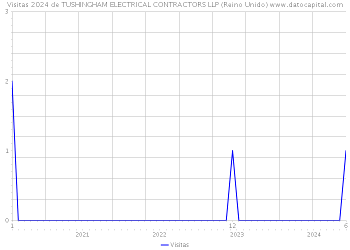 Visitas 2024 de TUSHINGHAM ELECTRICAL CONTRACTORS LLP (Reino Unido) 