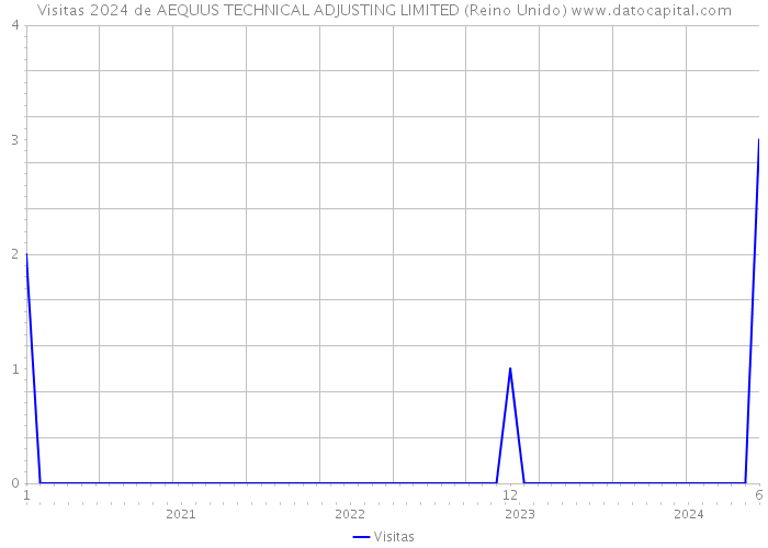 Visitas 2024 de AEQUUS TECHNICAL ADJUSTING LIMITED (Reino Unido) 