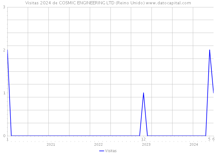 Visitas 2024 de COSMIC ENGINEERING LTD (Reino Unido) 