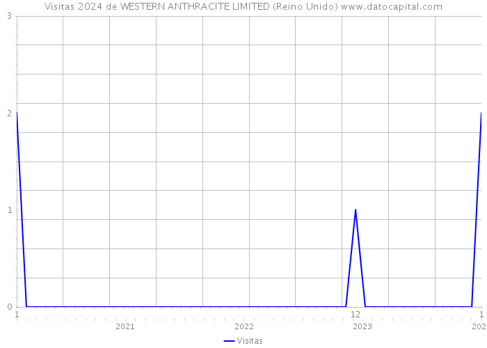 Visitas 2024 de WESTERN ANTHRACITE LIMITED (Reino Unido) 